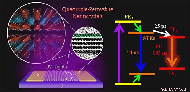 Scientists Unveil Dynamic Mechanism of Lead‑Free Quadruple Perovskite Nanocrystals