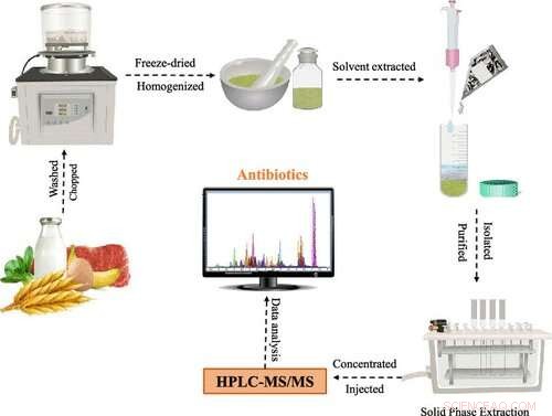 Rapid Detection of Trace Antibiotics in Food: A Comprehensive Analytical Approach
