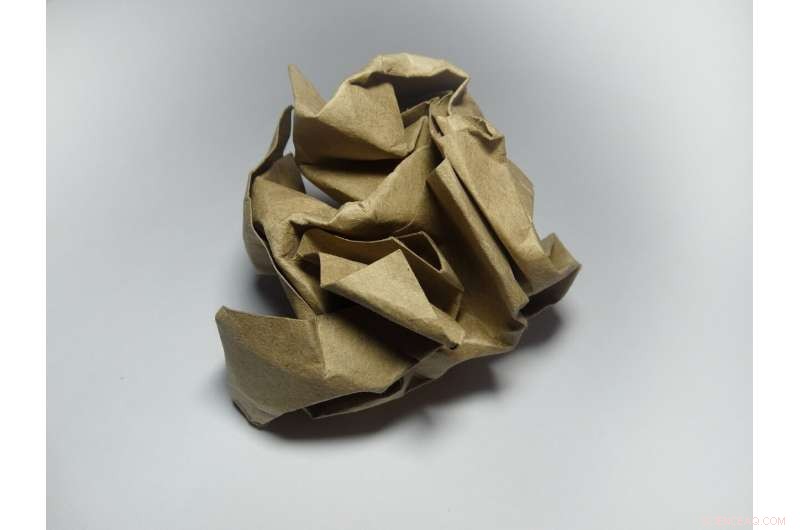 Cellulose‑Based Food Packaging Advances to Industrial Production Testing Phase