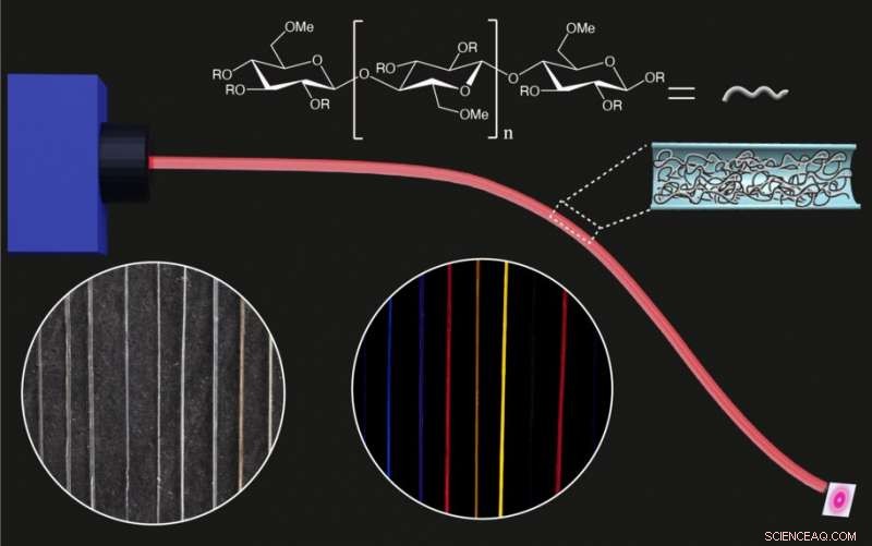 Eco-Friendly Optical Fibers Made from Methylcellulose: A Sustainable Breakthrough