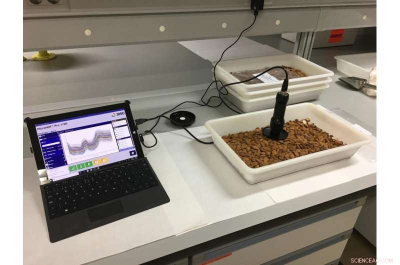 Real-Time Detection of Bitter Almonds Using Advanced NIRS Technology