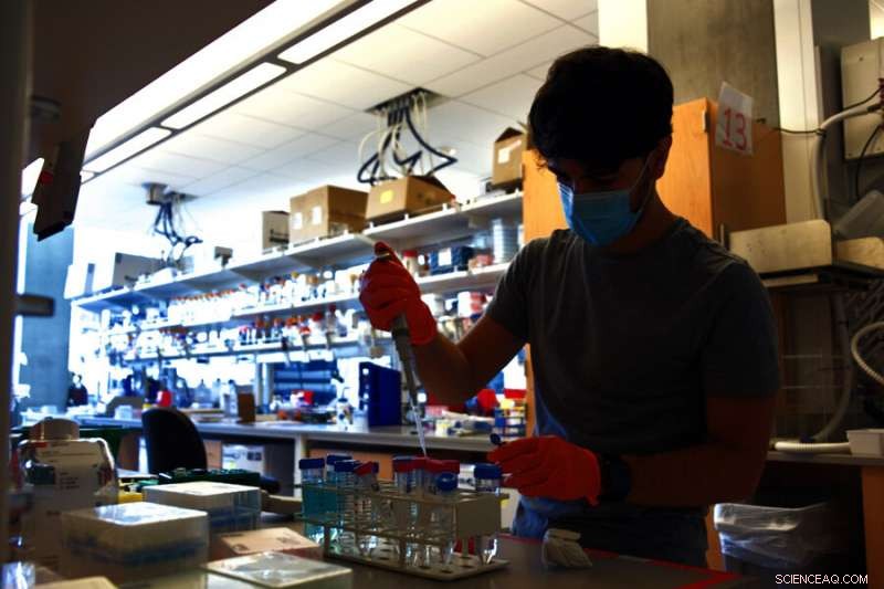 Rapid Biosensors Enable Swift Detection of COVID‑19 Proteins and Antibodies