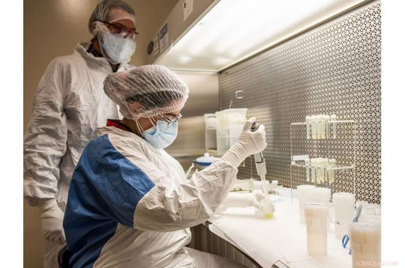 Ultra‑Trace Detector Tests Gold Purity with Elemental Precision