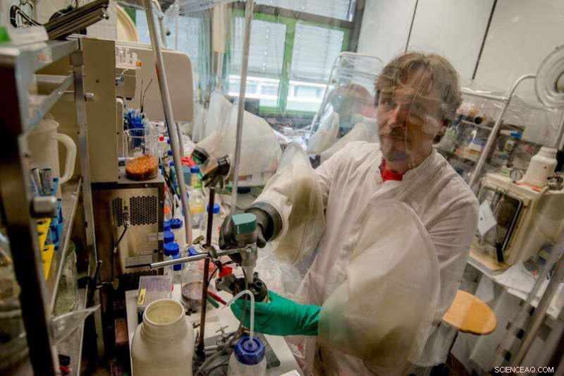 Oxygen‑Resistant Hydrogen‑Producing Enzyme Unveiled: New Insights into Photobiotechnology