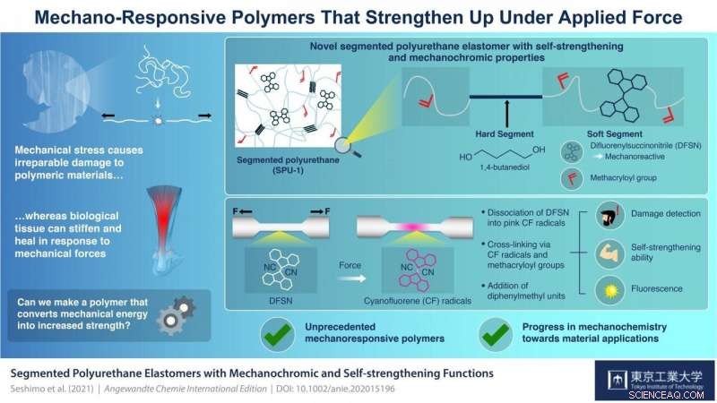 Innovative Polymer Enhances Strength and Displays Color Change Under Mechanical Stress