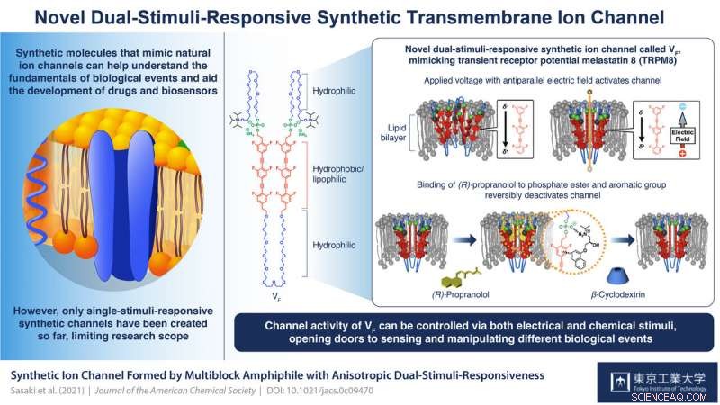 Dual-Activation Synthetic Transmembrane Ion Channel: Reversible Control via VF and Propranolol
