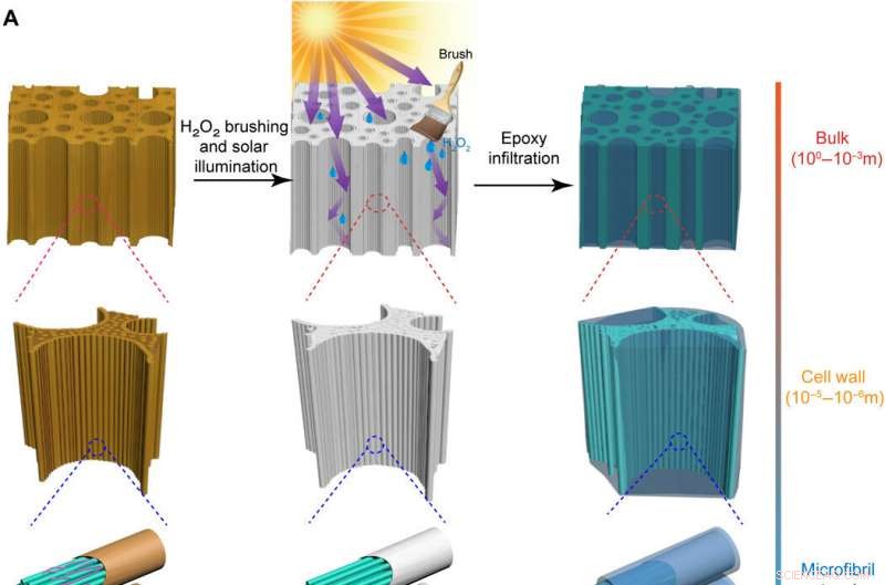 Revolutionary Transparent Wood: Stronger, Lighter, and Eco‑Friendly Than Glass