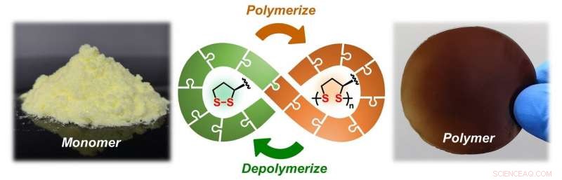 Nature-Derived Molecule Enables Fully Recyclable Polymers