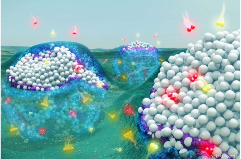 Organic Residue Enhances Catalyst Efficiency, Cutting Chemical Waste