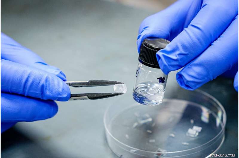 NTU Researchers Create Highly Flexible Crystal, Revolutionizing Bendable Electronics
