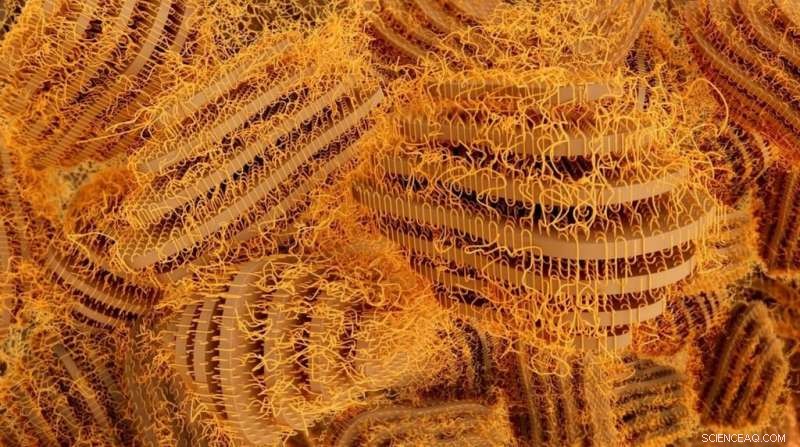 Innovative Two-Phase Material Exhibits Unexpected Ferroelectric Properties