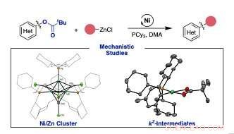Catalytic Couplings Unveiled: Why Simple Synergies Aren’t Always the Answer