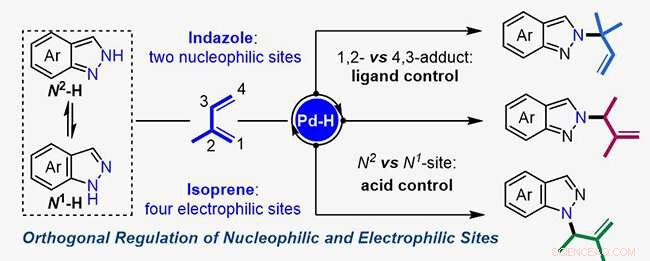 Orthogonal Regulation Strategy Unlocks New Pathways for Building Molecular Complexity