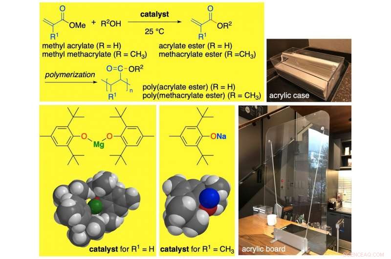 Sodium and Magnesium Aryloxides Enable Green Transesterification of Methyl (Meth)acrylate Without Toxic Metals
