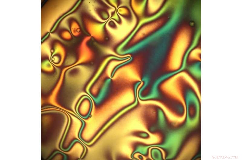 New Liquid Crystals Mimic Solid Counterparts, Advancing Material Science