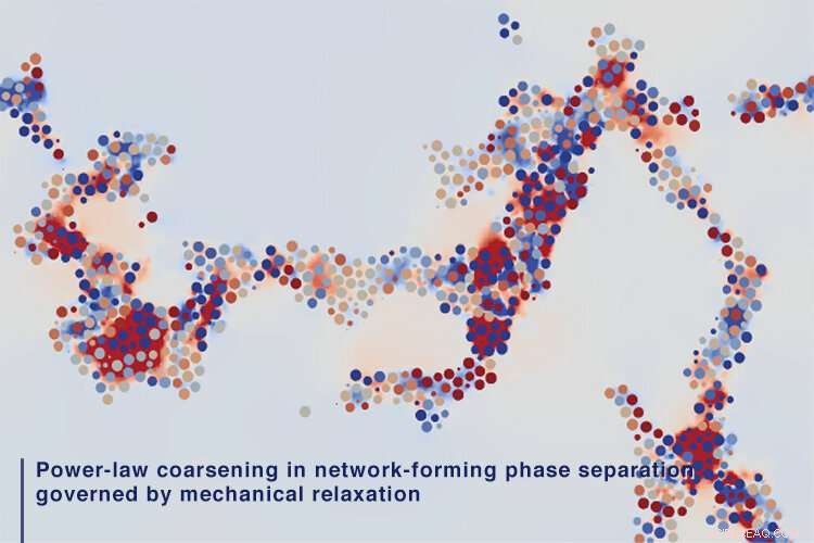 New Phase‑Separation Law Unveiled: Implications for Batteries & Catalysts