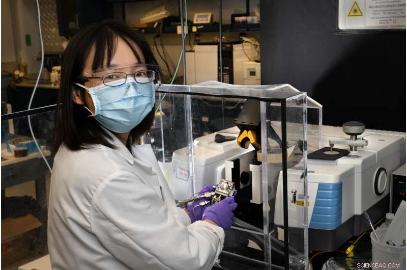 New Study Highlights Platinum s Crucial Role in Clean Fuel Conversion