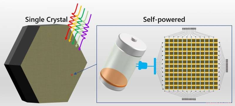 Inch‑Sized Single‑Crystal Perovskite Enables Self‑Powered Photodetectors for Integrated Circuits