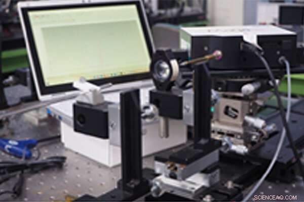 Monitoring Body Fat Burning via Breath Analysis