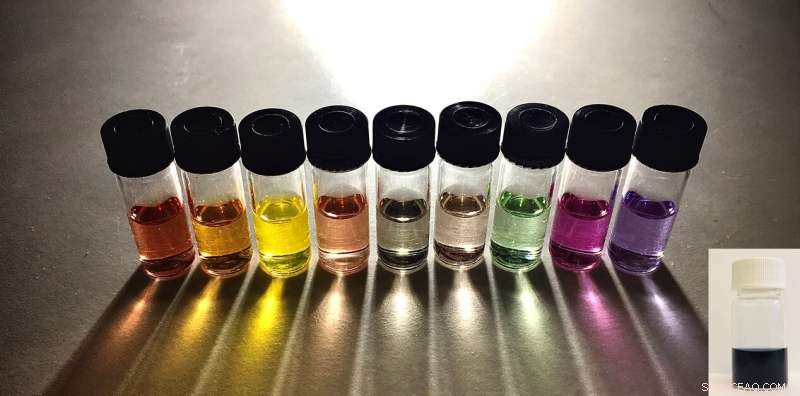 Composite Polymer Dots Drive Sustainable Hydrogen Production