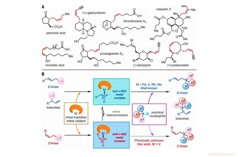 Highly Enantioselective Iridium-Catalyzed Z-Retentive Allylic Substitution: A Practical Synthetic Approach