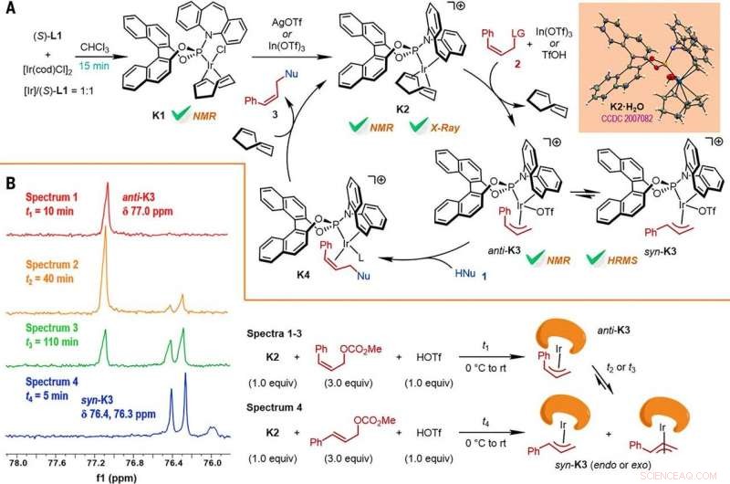 Highly Enantioselective Iridium-Catalyzed Z-Retentive Allylic Substitution: A Practical Synthetic Approach