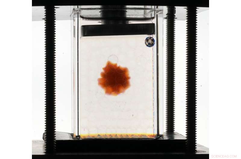 Transparent Soil Sensors: Helping Farmers Anticipate and Mitigate Future Droughts