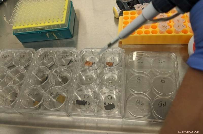 Ozone Proven Effective at Disinfecting SARS‑CoV‑2, Study Confirms