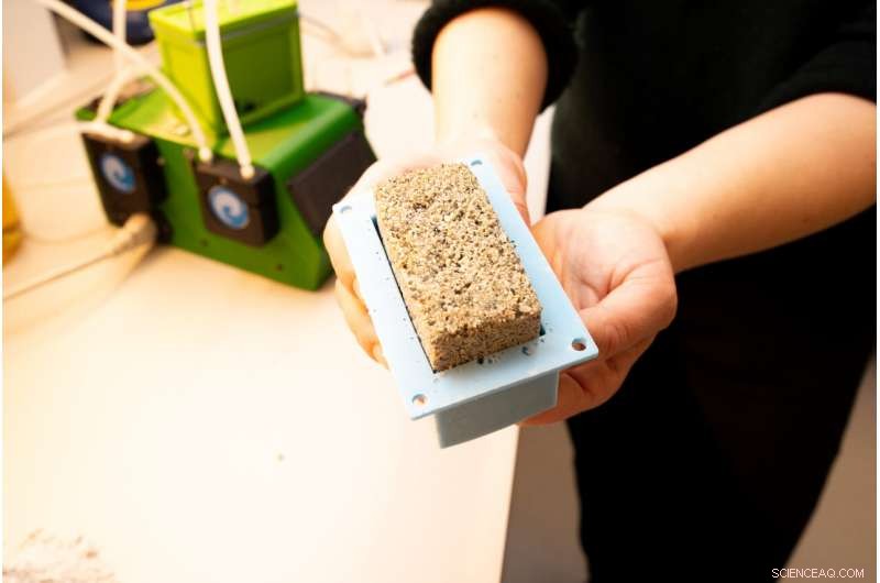 Bacteria‑Based Concrete: A Climate‑Friendly Solution for Construction