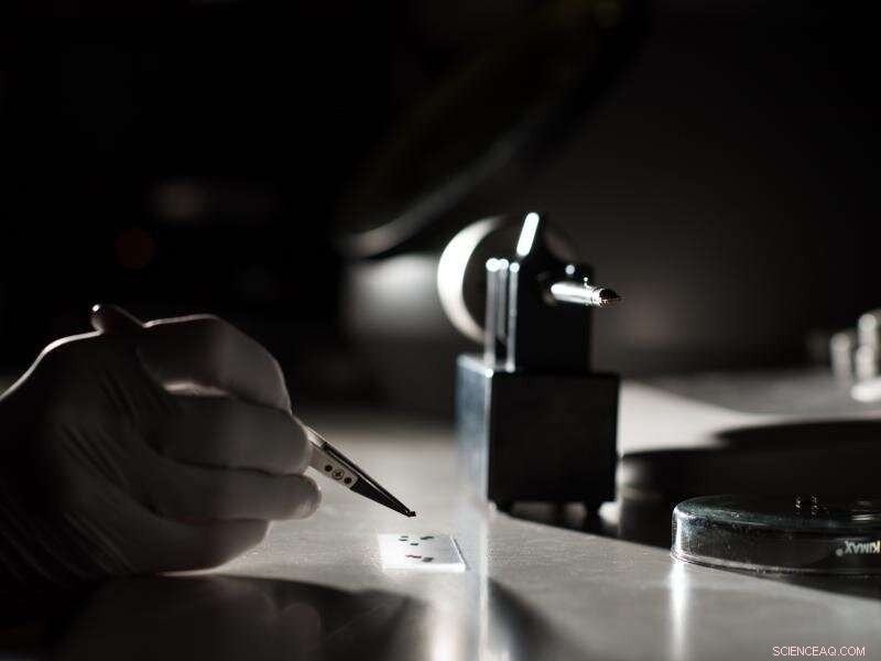 Scientists Identify Innovative Pathway to Build Complex Crystals