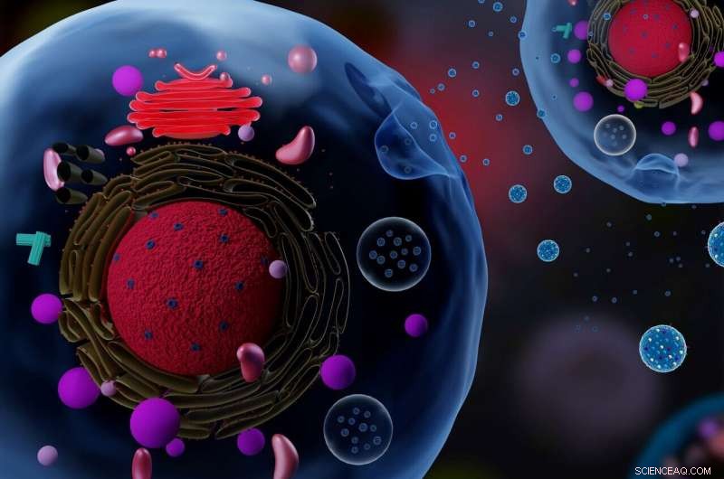 Laser-Based Imaging Reveals Exosome Secrets for Cancer Research