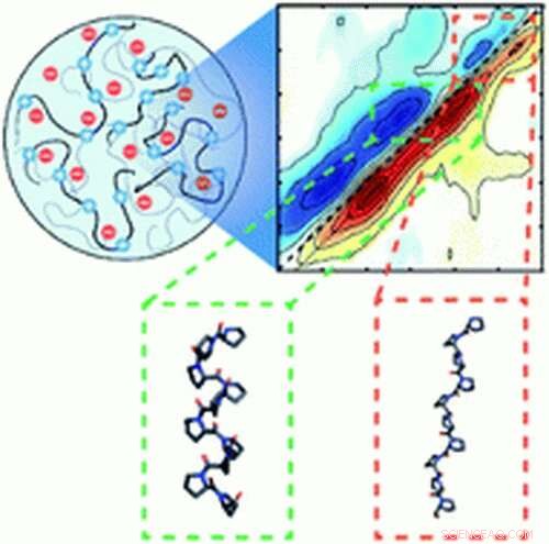 New Study Shows Protein Folding Occurs Inside Intracellular Liquid Droplets