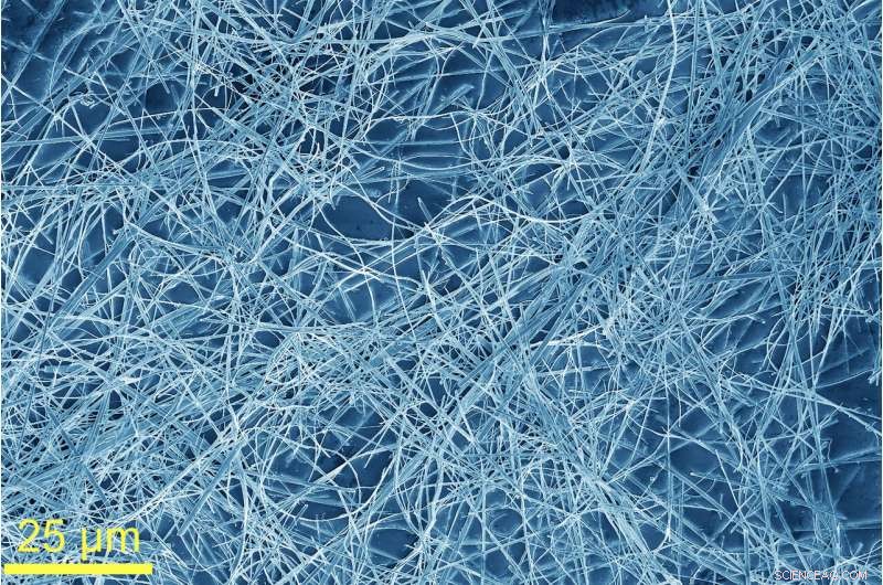 TaSe3 Nanowire-Infused Polymer Film Protects Devices from EM Radiation & Signal Interference