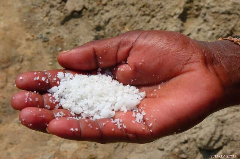 Solar-Powered Brine Crystallization: A Sustainable Salt Solution for Desalination