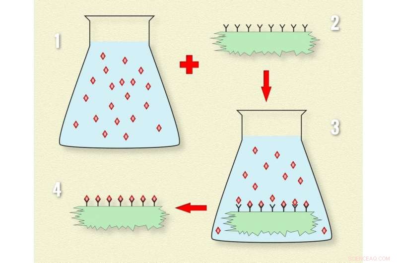 Using Solid Solvents to Engineer Innovative Materials