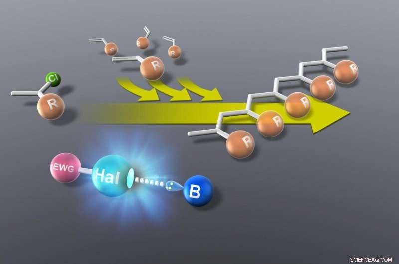 Revolutionizing Vinyl Polymerization: An Eco‑Friendly, Cost‑Effective Approach Using Halogen‑Bonding Organocatalysts