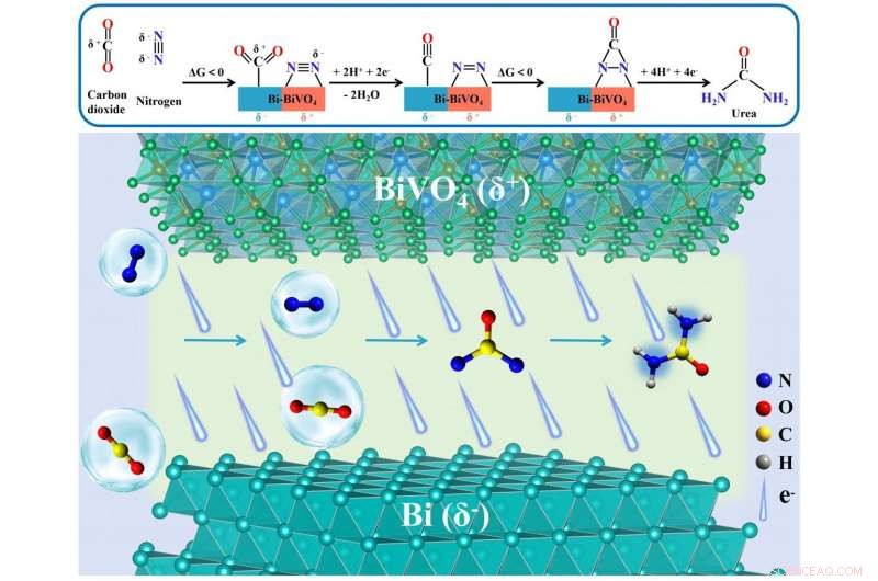 Innovative Catalysts Boost Ambient-Temperature Urea Production Efficiency