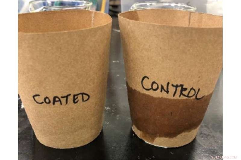 Eco‑Friendly, Microplastic‑Free Paper Coating: Affordable & Sustainable