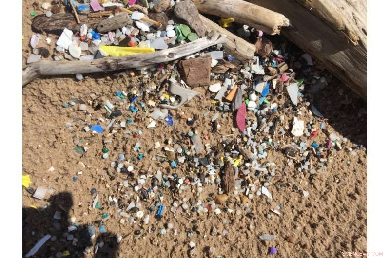 Eco‑Friendly, Microplastic‑Free Paper Coating: Affordable & Sustainable