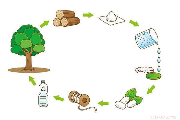 Enhancing Silk Strength by Altering Silkworm Diet