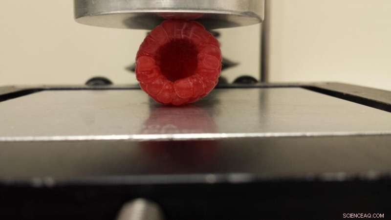 Revolutionary Treatment Enhances Raspberry Baking Quality