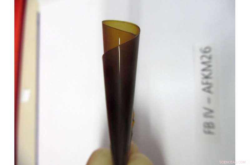 Vegetable Proteins Replace Fossil‑Derived Materials