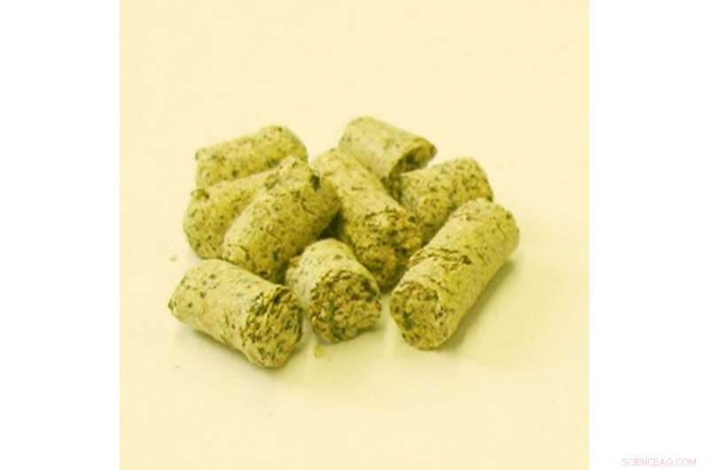 Vegetable Proteins Replace Fossil‑Derived Materials