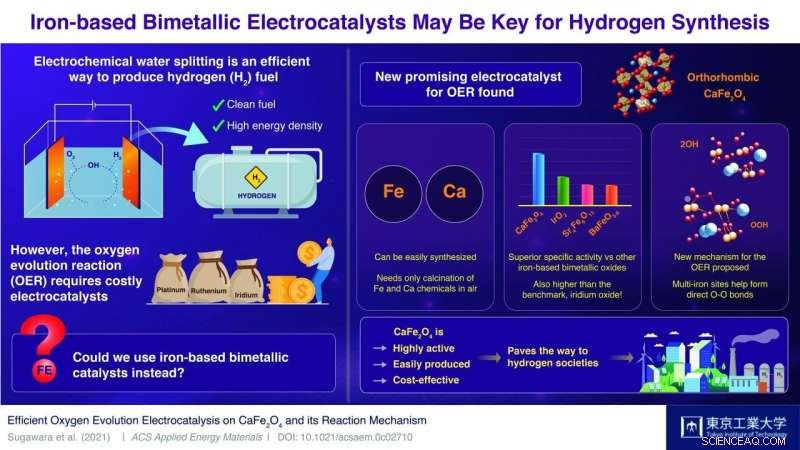 Revolutionizing Hydrogen Production: Cost-Effective Electrocatalysts from Affordable Materials