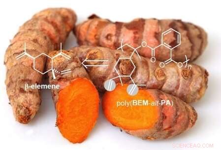 Exploring the Growing Potential of Bio‑Based Polymers