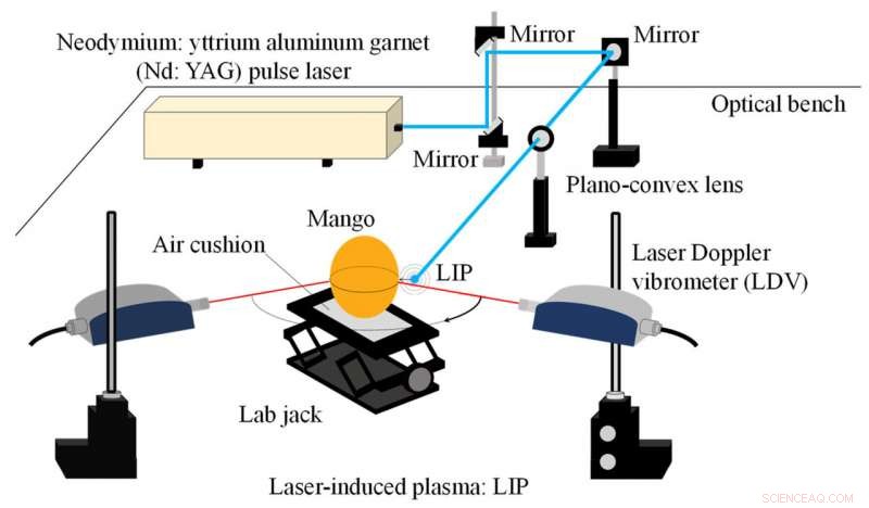 Revolutionary Contactless Laser Technique Optimizes Soft Fruit Harvest Timing
