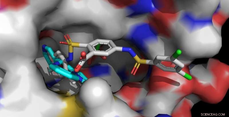 Advancing Therapeutics for Age-Related Diseases: A Focus on Sirt6 Activators
