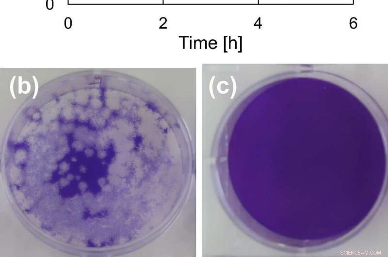 Materials Science Innovations to Combat COVID-19
