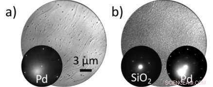 Boost Chemical Reactions with Ultra‑Thin 2D Oxide Coatings on Metal Catalysts