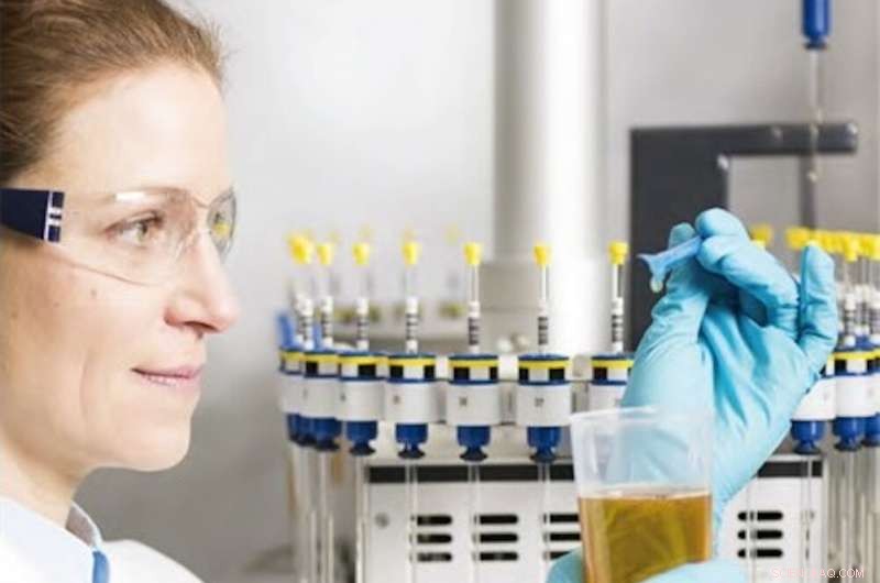 Fast, Reliable Test Confirms Olive Oil Quality and Authenticity